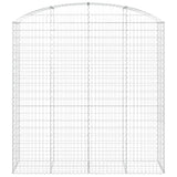 Arched Gabion Basket 200x50x200/220 cm Galvanised Iron 153480