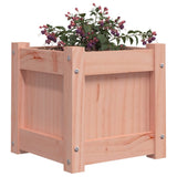 Garden Planters 2 pcs Solid Wood Douglas 837401
