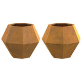 Planter 2 pcs Rusty 50 x 50 x 40 cm Weathering Steel 884065