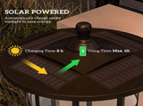Set of Two 1.8m Traditional Style Solar Lamp Posts - Black T3398P317838