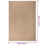 ZNTS Rug ZIZUR 200x290 cm Jute Look Indoor and Outdoor 364834