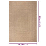 ZNTS Rug ZIZUR 200x290 cm Jute Look Indoor and Outdoor 364834