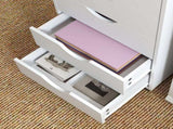 5 Drawer Mobile Filing Cabinet, Vertical File Cabinet, Modern Rolling Office Storage Organizer T3398P344172