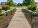 Outdoor Solar Lights with Ground Spike 12 pcs Warm White ABS 42042722