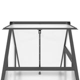 Greenhouse with Base Frame Anthracite 169x58x195 cm Aluminium 4005818