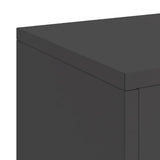 Plant Stand 2 pcs Black 24 x 24 x 55 cm Steel 865813
