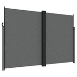 Retractable Side Awning Anthracite 220x1000 cm 4004778