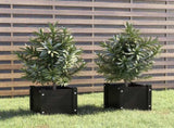 Garden Planters 2 pcs Black 31x31x31 cm Solid Pinewood 810531