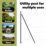 Fence Post with Concrete Base 13 pcs Grey Powder-Coated Steel 42004305