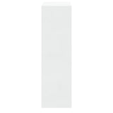 Shoe Cabinet High Gloss White 63x24x81 cm Engineered Wood 342560