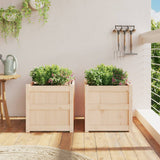 Garden Planters 2 pcs Solid Wood Pine 837415