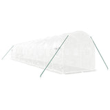 Greenhouse with Steel Frame White 24 m 12x2x2 m 3188032