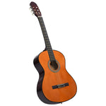 ZNTS 12 Piece Classical Guitar Beginner Set 4/4 39" 70113