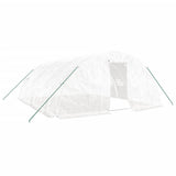 Greenhouse with Steel Frame White 30 m 6x5x2.3 m 3188095