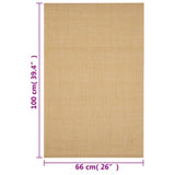 Rug Natural Sisal 66x100 cm 136298