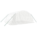 Greenhouse with Steel Frame White 20 m 5x4x2.3 m 3188094