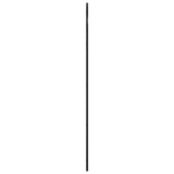 Wall Mirror Black 60x130 cm Arch Iron 3200607