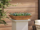 Garden Planter 5 pcs Rusty 50 x 50 x 15 cm Weathering Steel 873837