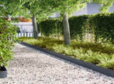 Lawn Edging 10 pcs Anthracite 100 x 0.05 x 20 cm 865952