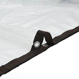 Clear Tarpaulin with Eyelets 3x5 m Polyethylene 4018557