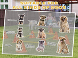 Dog Agility Equipment Set of Eight Cones 96181614