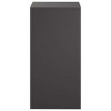 Plant Stand 2 pcs Black 30 x 30 x 60 cm Steel 8012475