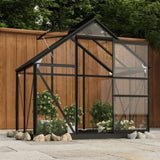 Glass Greenhouse Anthracite 155x103x191 cm Aluminium 3082333