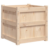 Garden Planters 2 pcs Solid Wood Pine 837415