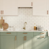 Cabinet Handles 20 pcs Bronze 128 mm Stainless Steel 3203661