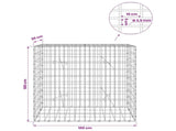 Gabion with 3.5 mm Wire and 5x10 cm Mesh 100x20x100 cm 3462620