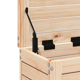 Garden Footstool Natural Solid Pine Wood 62x31.5x52 cm Foldable 844888