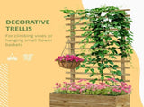 Wooden Raised Planter, with Back Trellis - Natural Finish T3398P313599