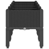 Garden Planter with Legs Black 160x40x42 cm PP 367903