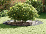 suitable for Flat Tree Ring Anthracite 90 / 120 cm Steel 873722