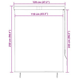145964 Outdoor Roller Blind 120x250 cm Anthracite