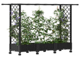 Raised Bed with Trellis and Roof Black 164 x 40 x 127 cm PP 3423113