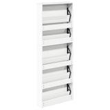 Shoe Cabinet with Mirror 5-Layer High Gloss White 63x17x169.5 cm 3228282