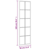 Wall Mirror Black 30x100 cm Rectangle Iron 358643