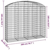 Arched Gabion Basket 200x50x160/180 cm Galvanised Iron 153478