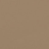 Retractable Side Awning Taupe 200x1200 cm 4004859
