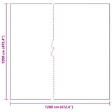 Clear Tarpaulin with Eyelets 12x12 m Polyethylene 4018582