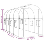 Greenhouse Transparent 160x400x190 cm PVC&Powder-coated Steel 317247