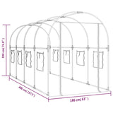 Greenhouse Transparent 160x400x190 cm PVC&Powder-coated Steel 317247