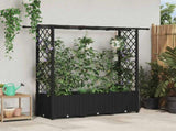 Raised Bed with Trellis and Roof Black 162.5 x 40 x 138 cm PP 42032543