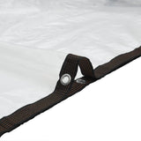 Clear Tarpaulin with Eyelets 3x12 m Polyethylene 4018561