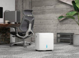 30L/Day Dehumidifier with Auto-Clean Filter, Continuous Drainage, 4L Water Tank, 24H Timer, Digital T3398P342456