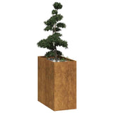 Planter Rusty 40x80x80 cm Weathering Steel 860779