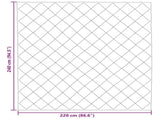 Winter Duvet 220 x 240 cm 450 gsm Microfiber 42025677