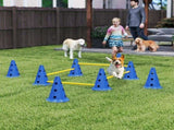 Dog Agility Equipment Set of Eight Cones 94475706