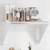 ZNTS Wall Shelf 50x30x31 cm Silver Stainless Steel 30277
